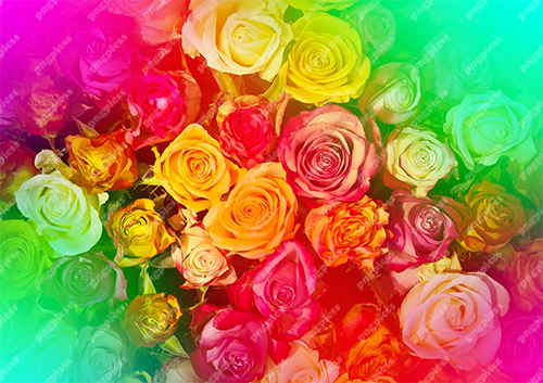 Multicolour Rose Background PNG png