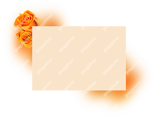 Rectangle With Rose PNG png